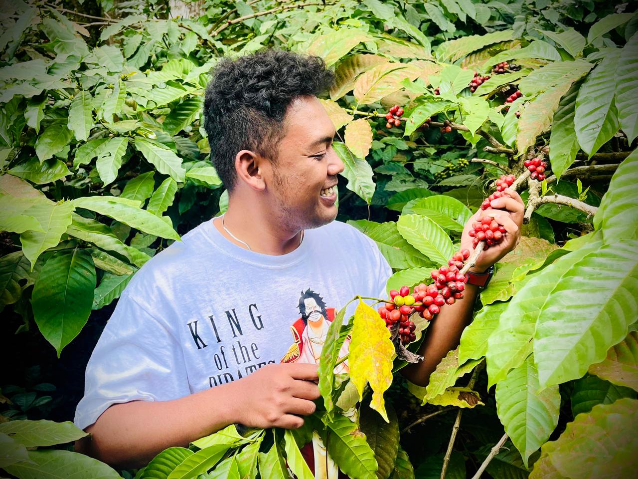 Sukses Ekspor Kopi ke Timur Tengah, Begini Perjuangan Petani Temanggung